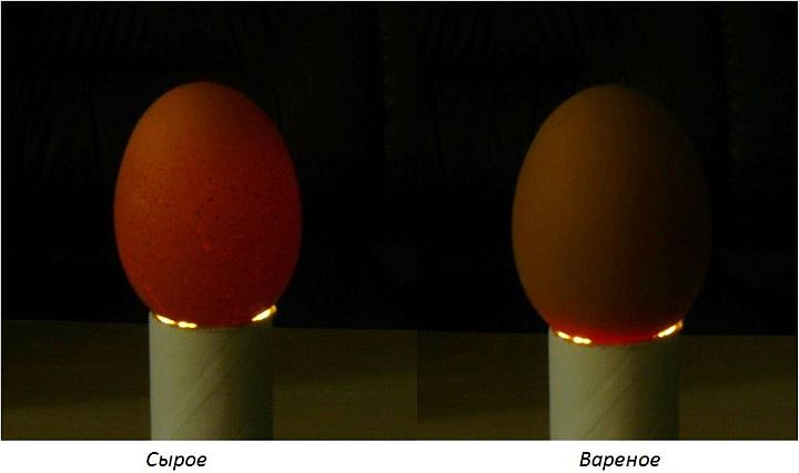 so difference eggs 3